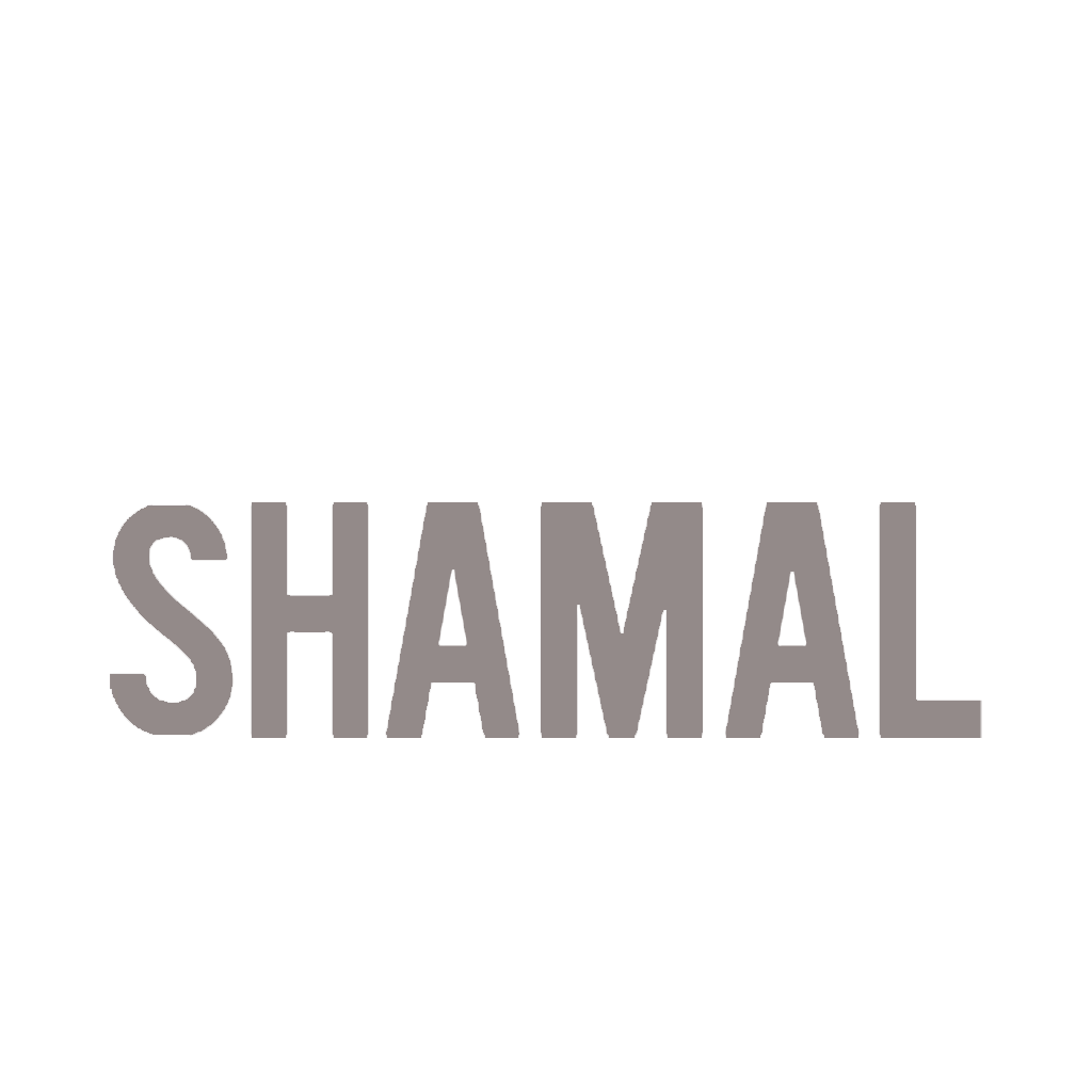Developers Logo