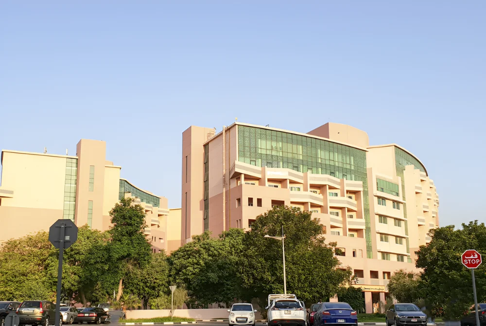 Palm Central Residences Frond N